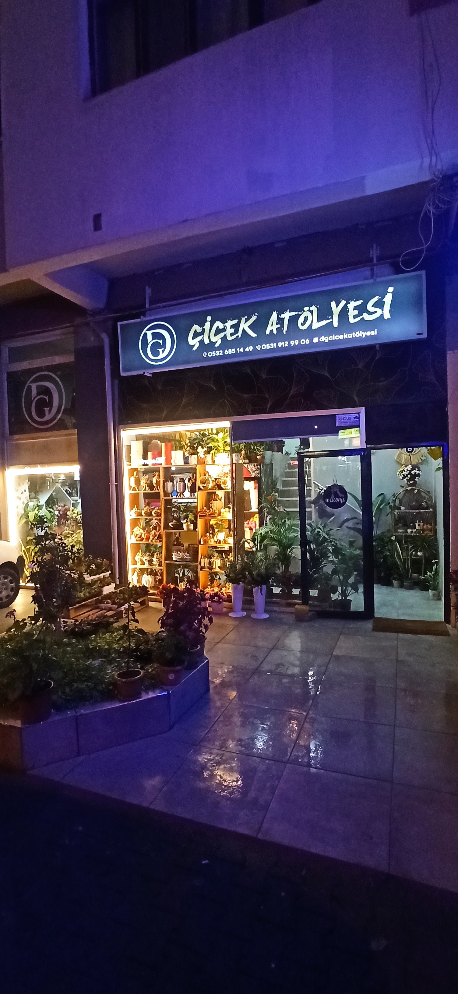 DG Çiçek Atölyesi