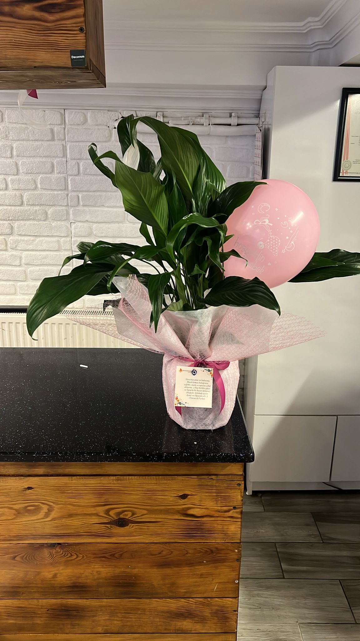 Mimoza Florist