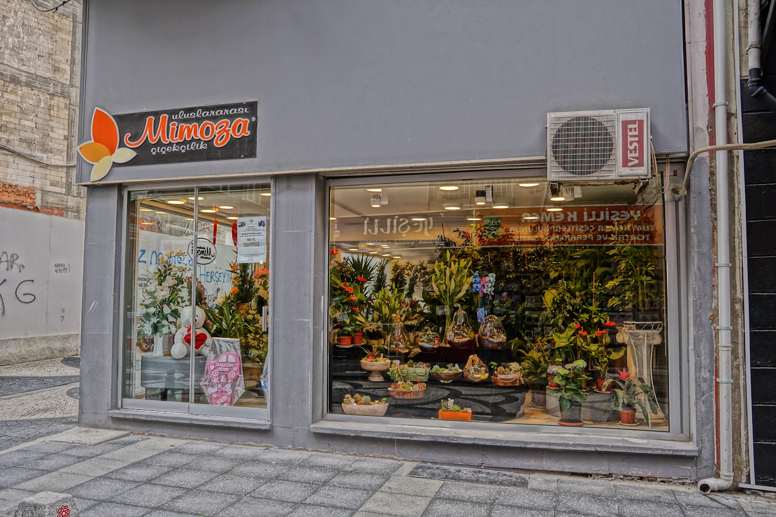 Mimoza Florist kır düğünü mekanı — Karesi