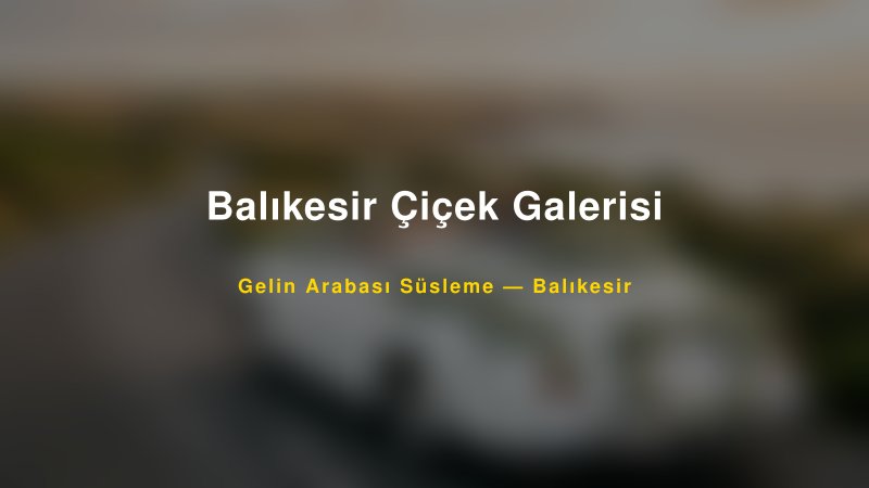 Balıkesir Çiçek Galerisi Balıkesir Gelin Arabası Süsleme